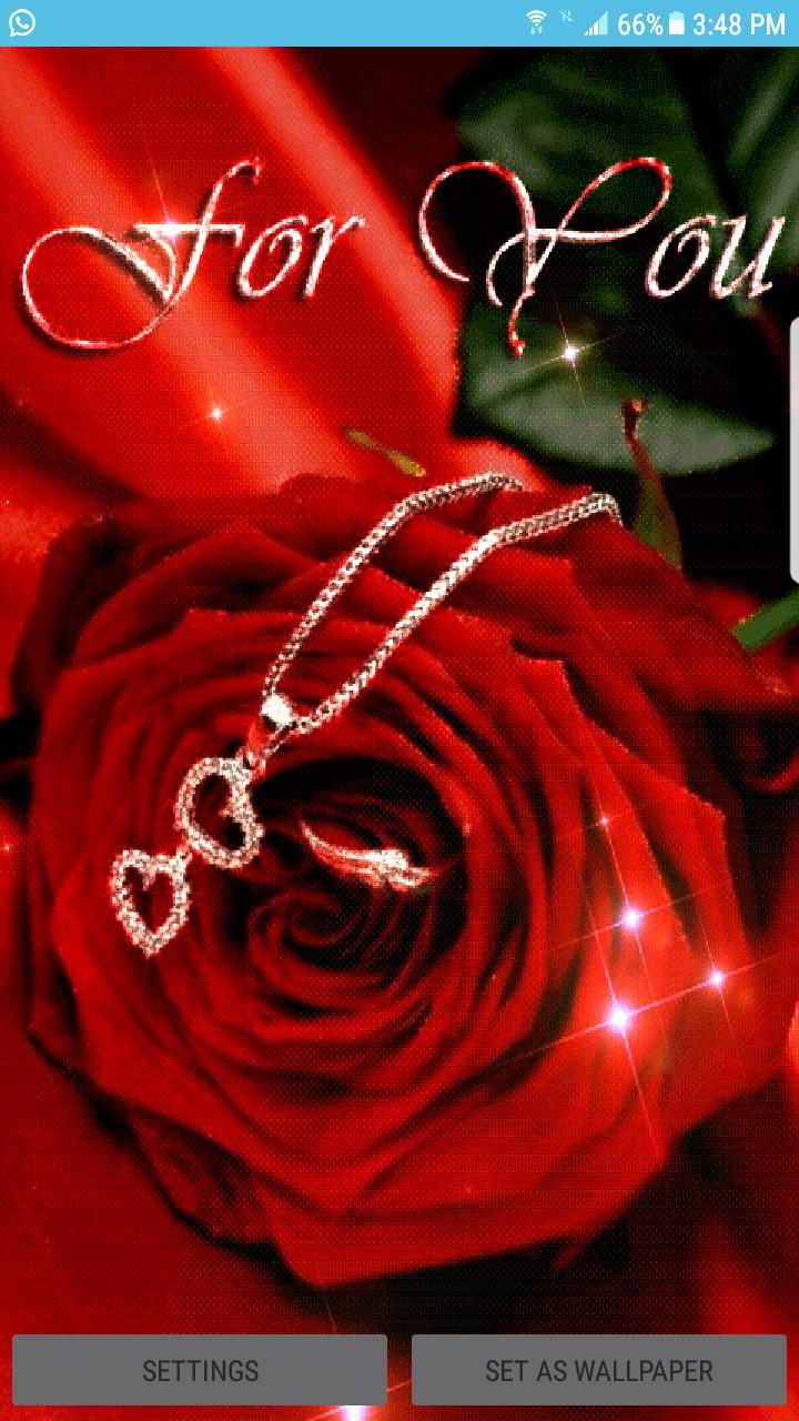 Unduh 2000+ Wallpaper Android Rose HD Terbaru Unduh 2000+ Wallpaper Android Rose HD Terbaru