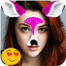 Face Stickers Photo Editor-APK