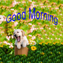 Good Morning Weekly Greetings APK