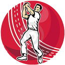 Bowling Speed APK