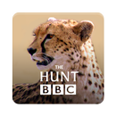 The Hunt - BBC Earth TV series APK