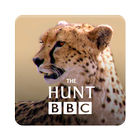 The Hunt - BBC Earth TV series icon