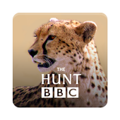 The Hunt  icon