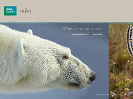 Poster The Hunt - BBC Earth TV series