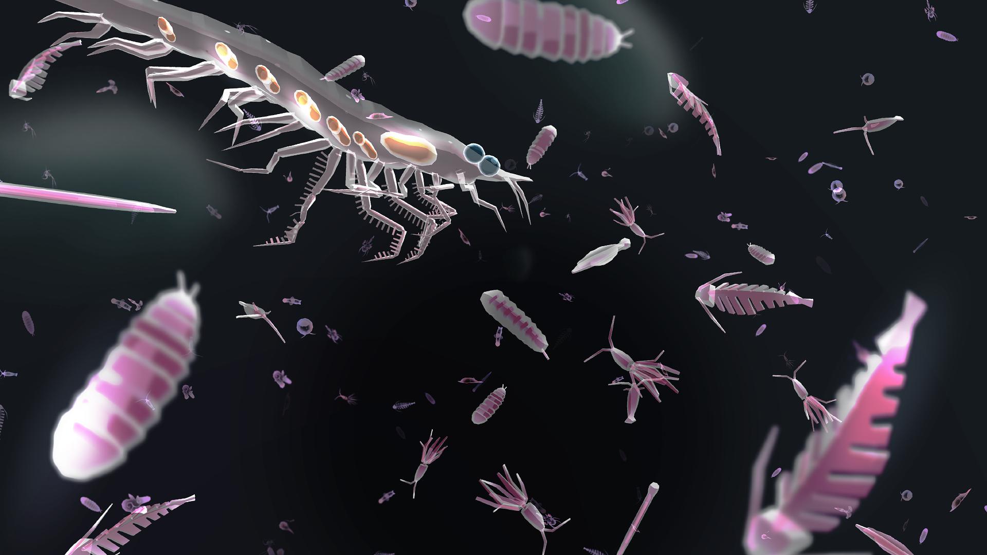 Зоопланктон уровень. Зоопланктон под микроскопом. Воздушный планктон. Обитатели планктона. Мелкие морские обитатели под микроскопом.