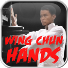 Wing Chun Hands ikona