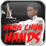 Wing Chun Hands