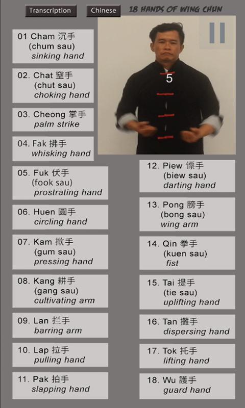 Wing Chun Hands for Android - APK Download