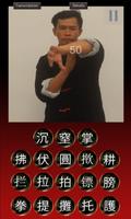 Wing Chun Hands screenshot 2