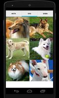 Akita Dog Sounds screenshot 3