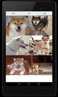 Akita Dog Sounds screenshot 1
