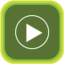 APK Video Player Codec