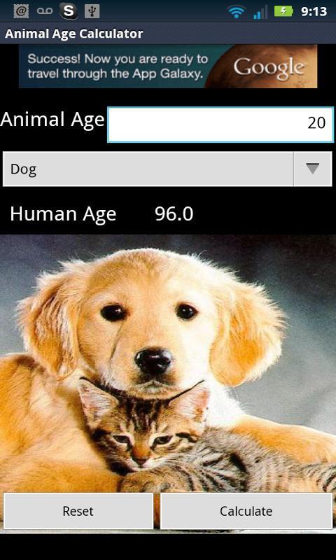 Animal Age Calculator APK for Android Download