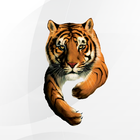 آیکون‌ Tiger EUS