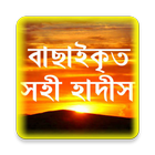 সহী হাদীস বাছাইকৃত simgesi