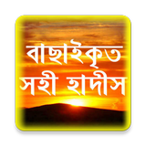 সহী হাদীস বাছাইকৃত icon