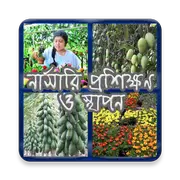 নার্সারী প্রশিক্ষণ ও স্থাপন