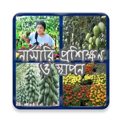 নার্সারী প্রশিক্ষণ ও স্থাপন APK download