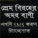 প্রেম বিরহের অমর বানী APK