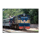 সকল ট্রেনের সময় সূচী أيقونة