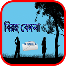 বিরহ বেদনা APK
