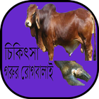 গরুর রোগবালাই ও চিকিৎসা иконка
