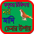 APK কবুতর চিকিৎসা,নর,মাদি,চেনার উপায়