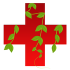 Bangladeshi Herbs icon