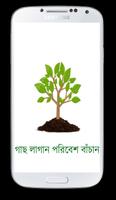 Poster Bangladeshi Herbs