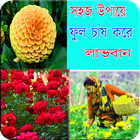 নতুন পদ্ধতিতে ফুল চাষ করুন যেকোন জায়গায় icono