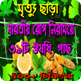 রোগ নিরাময়ে ঔষধি গাছের উপকারিতা-৫০০+ রোগের চিকিৎসা biểu tượng