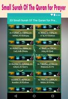 33 Small Surah Of The Quran for Prayer capture d'écran 1