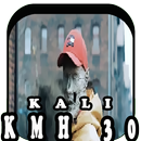 KALI - 30 KMH APK
