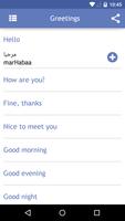 Onboard Lebanese Phrasebook Screenshot 3