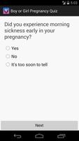 Boy or Girl Pregnancy Test plakat