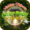 Hidden Objects Night Forest