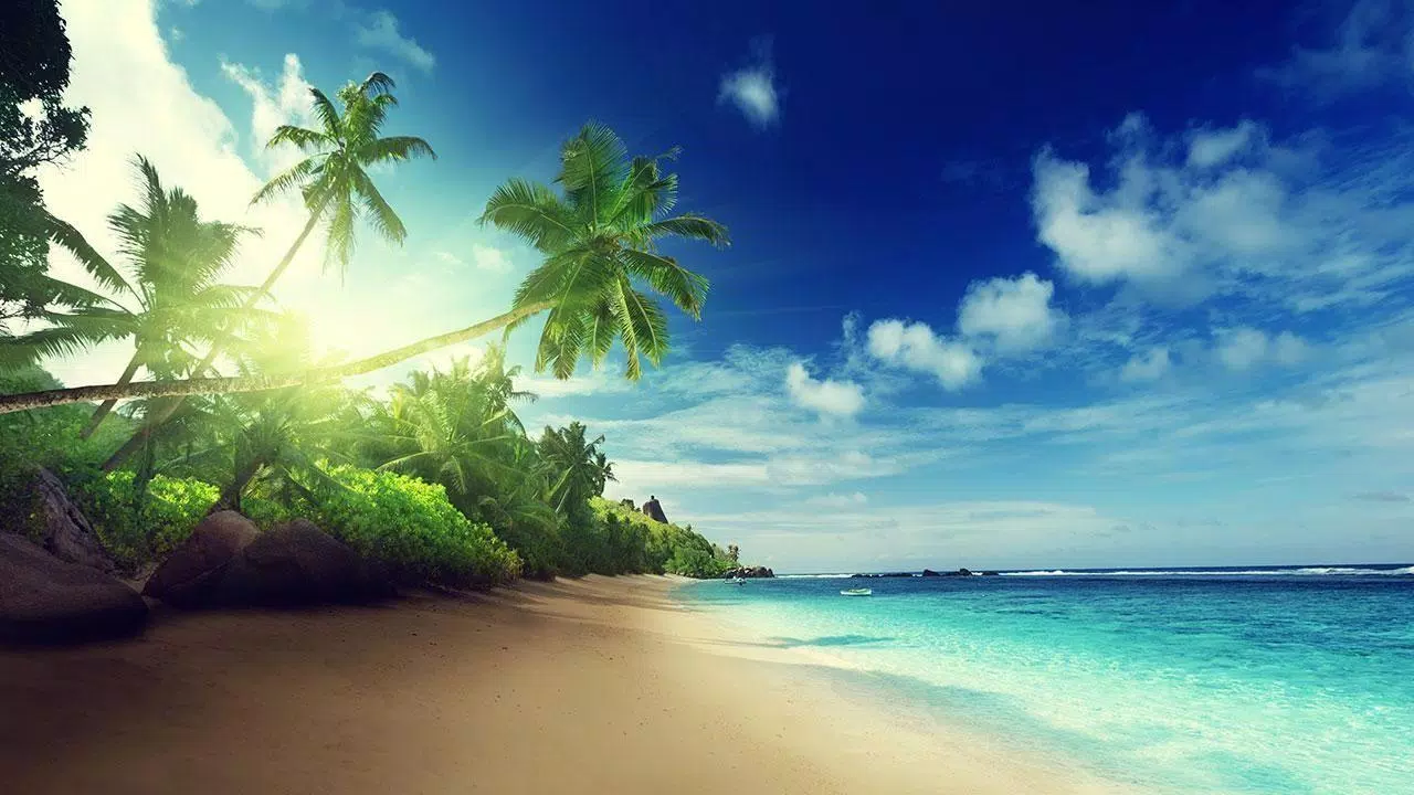 Beautiful Hawaii Beach Wallpaper APK for Android Download Beautiful Hawaii Beach Wallpaper APK for Android Download