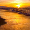 LWP Strand Sonnenuntergang
