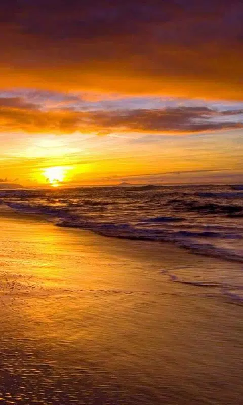beach sunset live wallpaper APK for Android Download beach sunset live wallpaper APK for Android Download