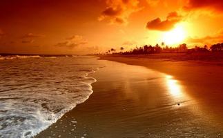 Beach Wallpapers for Chat captura de pantalla 3