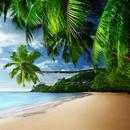 Beach Wallpaper Pictures HD Images Free Photos 4K APK