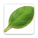 Plantes médicinales APK