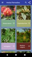 Herbal Remedies โปสเตอร์