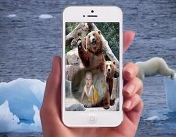 Bear Photo Frames постер