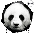HD Amazing Giant Panda Wallpapers - Bear آئیکن