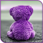 HD Beautiful Doll Bear Wallpapers - Background-icoon