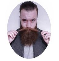 Beard Styles Plakat