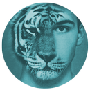 Spirit Animal - Tiger Face Morphing App APK