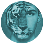 Tiger Cam - Tiger Face Morphing App Zeichen