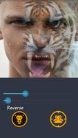 Spirit Animal - Tiger Face Morphing App 截图 2